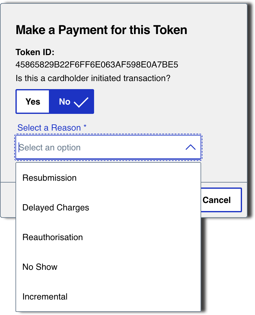 Screen capture of TMS Customer Details pop up for Make a Payment for this Token